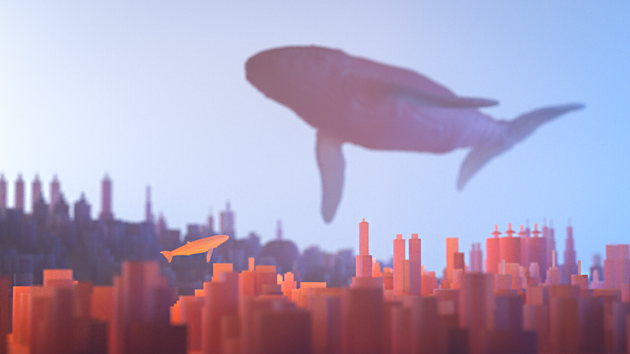 Vivid Dreams - تصویر 7099