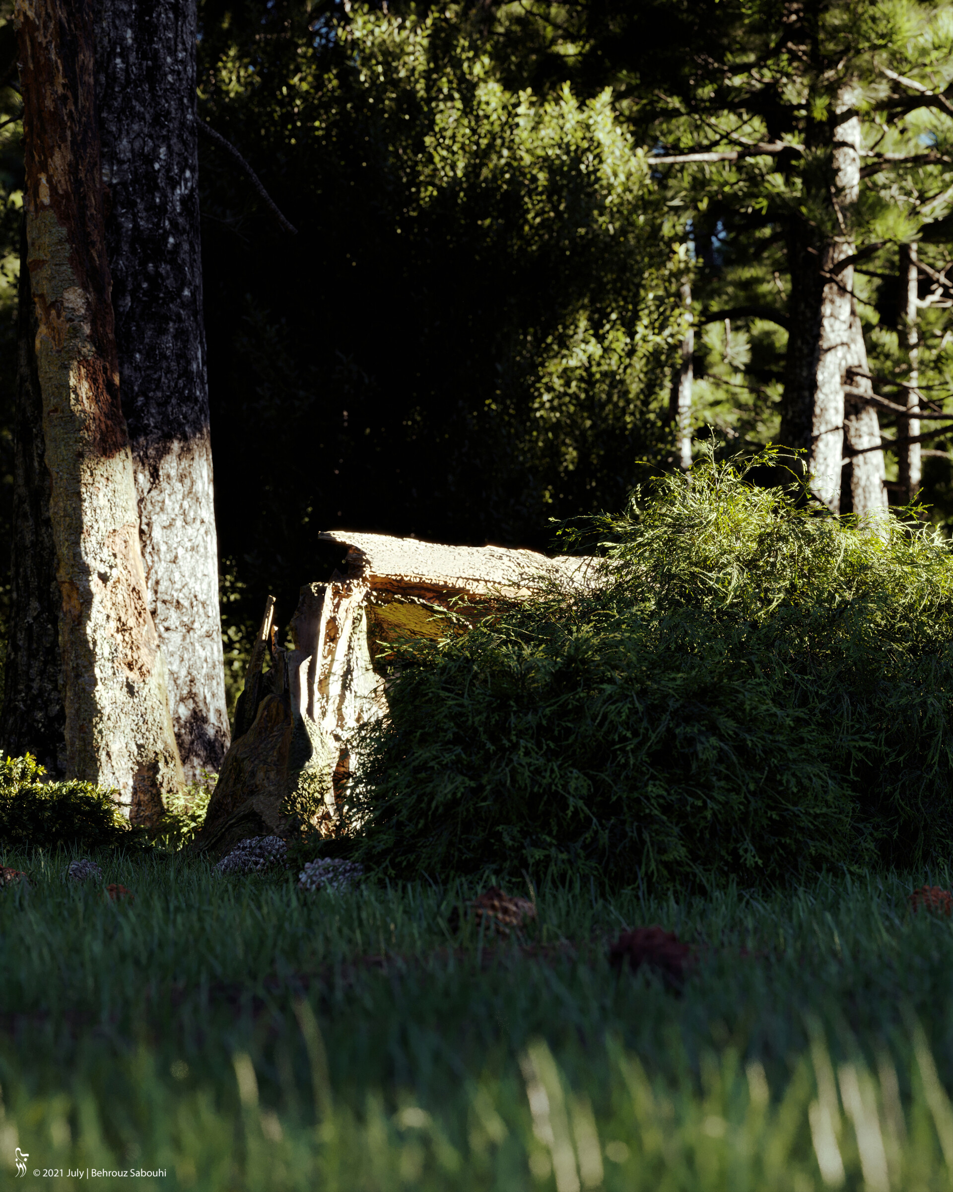 Ray - تصویر 7270