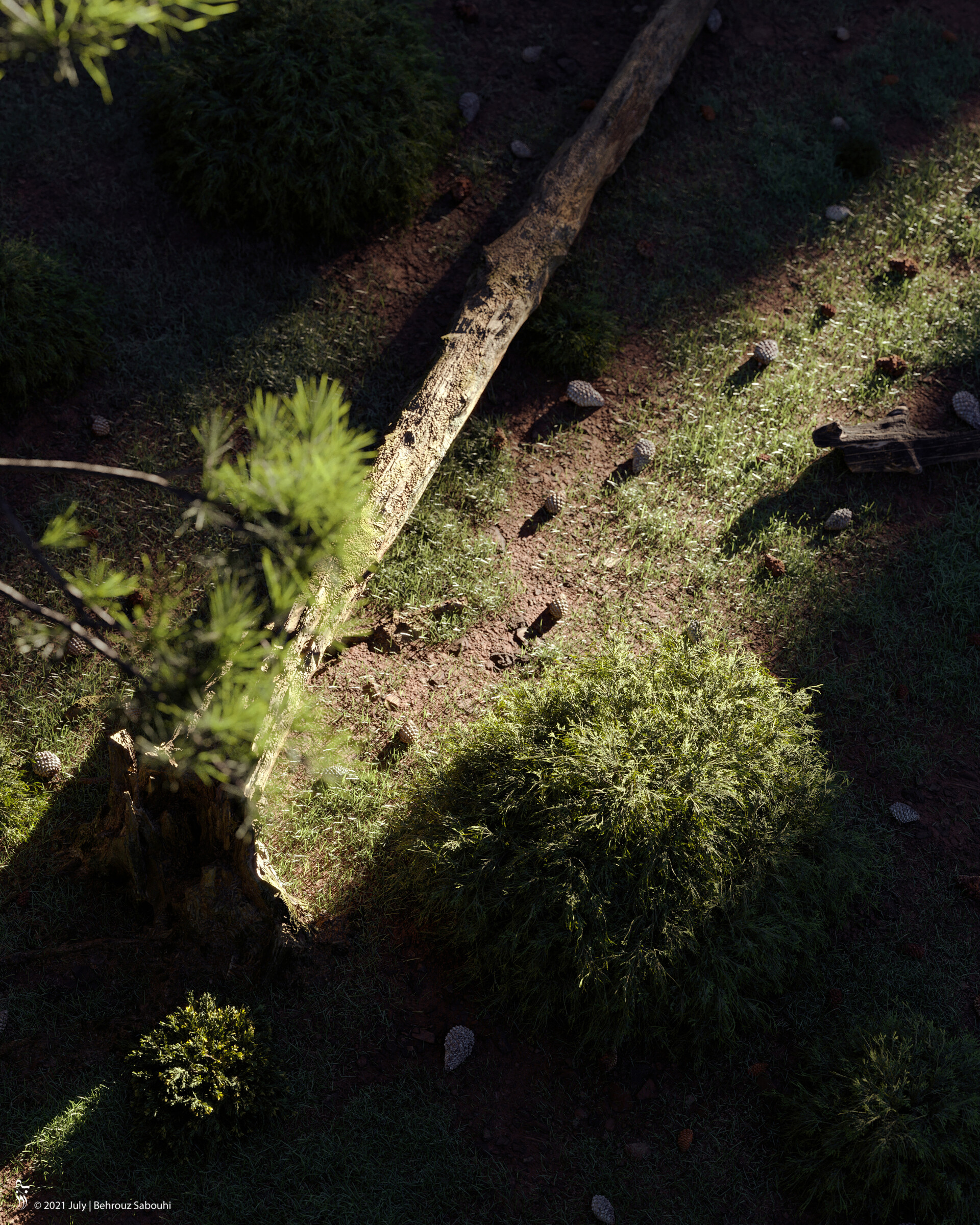 Ray - تصویر 7269