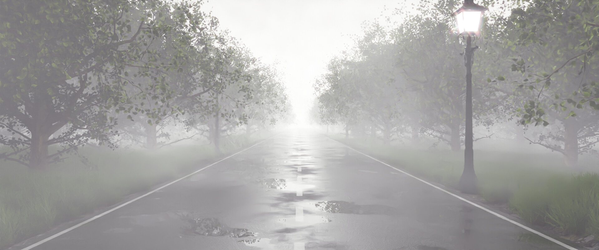 جاده جنگلی - تصویر 7274