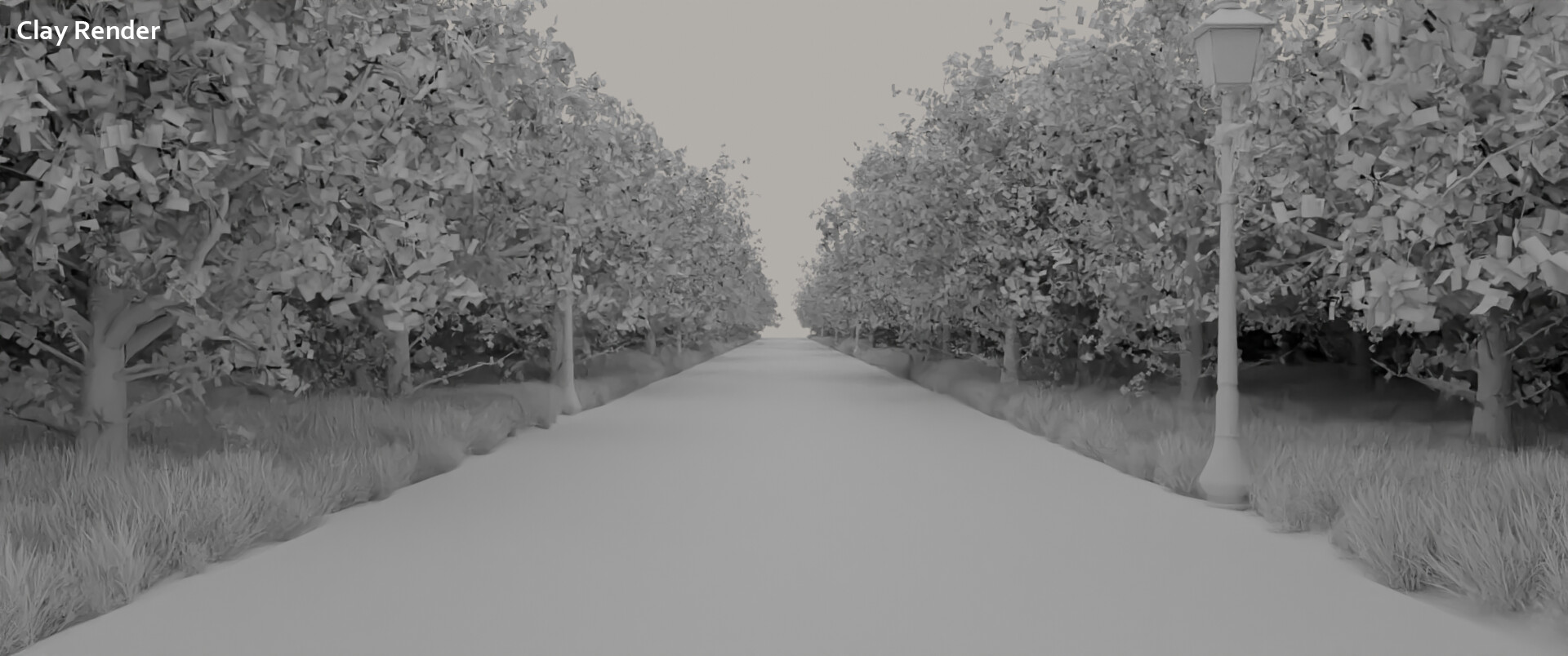 جاده جنگلی - تصویر 7273