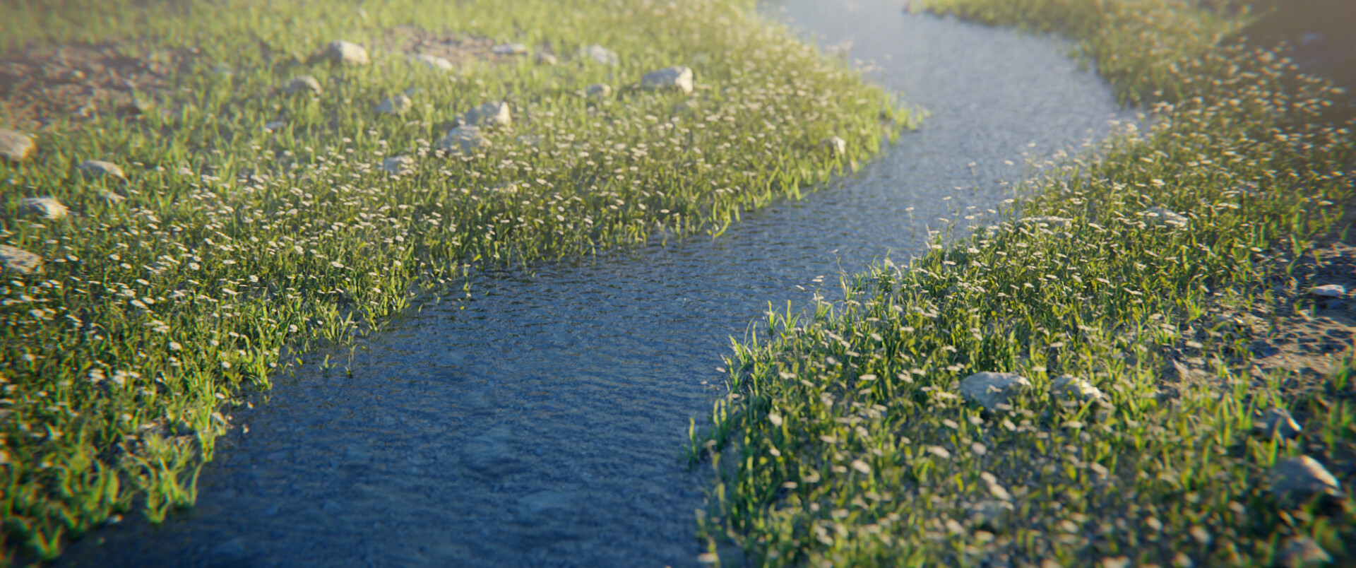 River - تصویر 7375