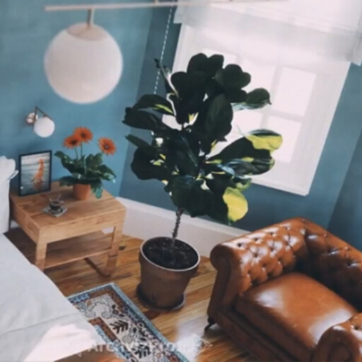 انیمیشن معماری