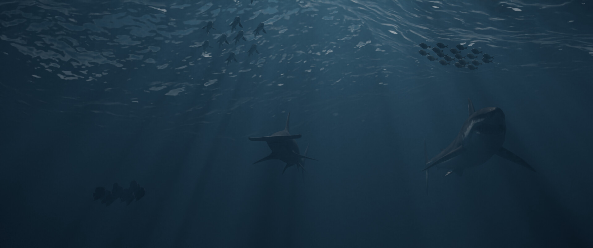 دنیای زیر اقیانوس - تصویر 7450