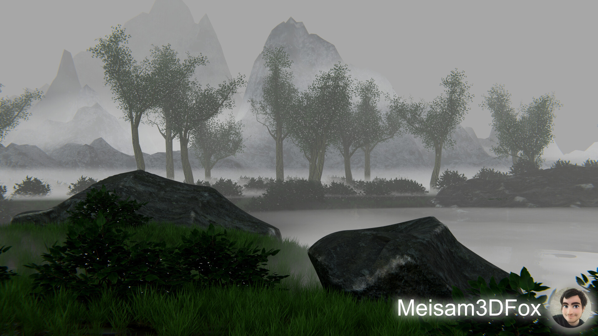 Fox Woods - تصویر 7499