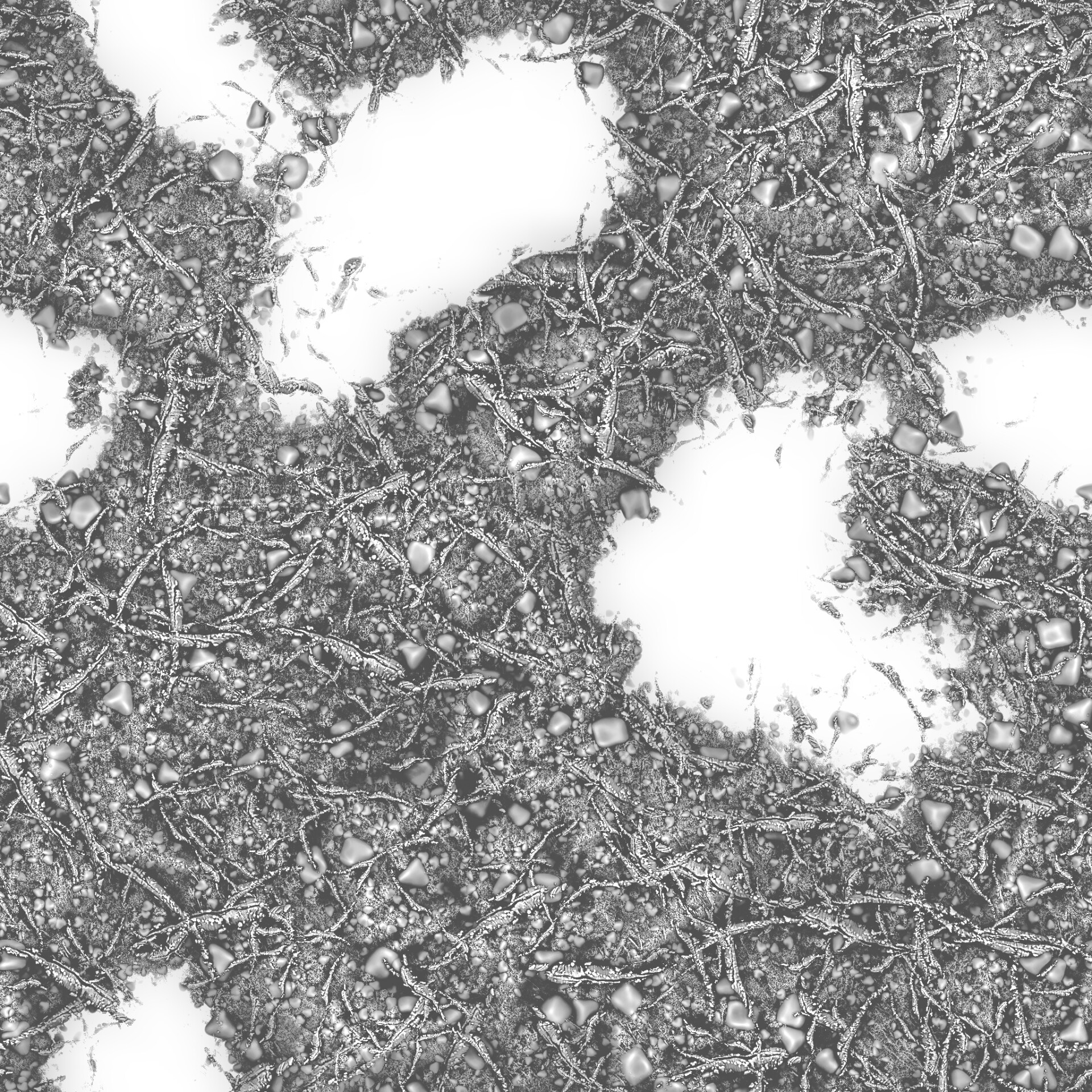 Fox Woods - تصویر 7501