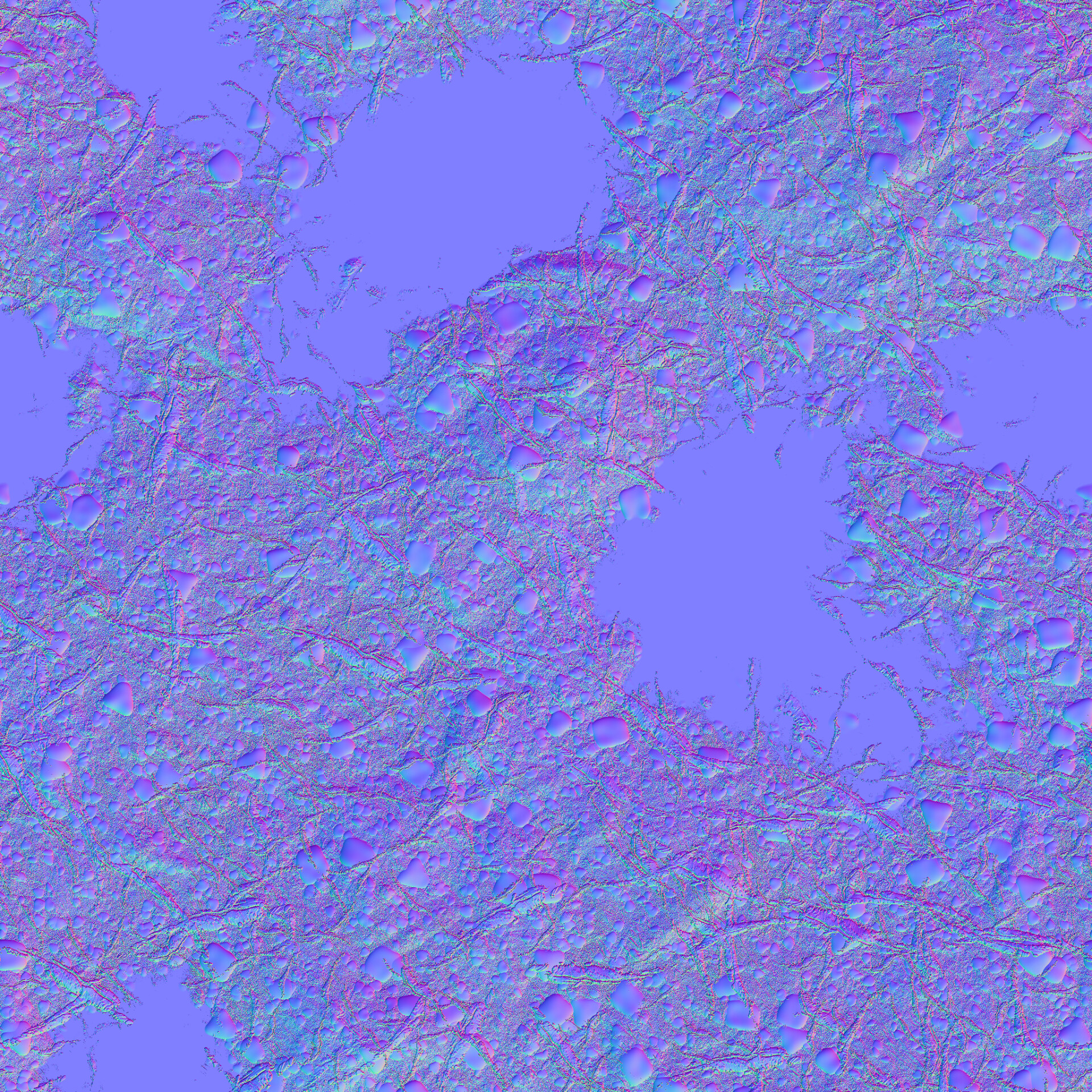 Fox Woods - تصویر 7504