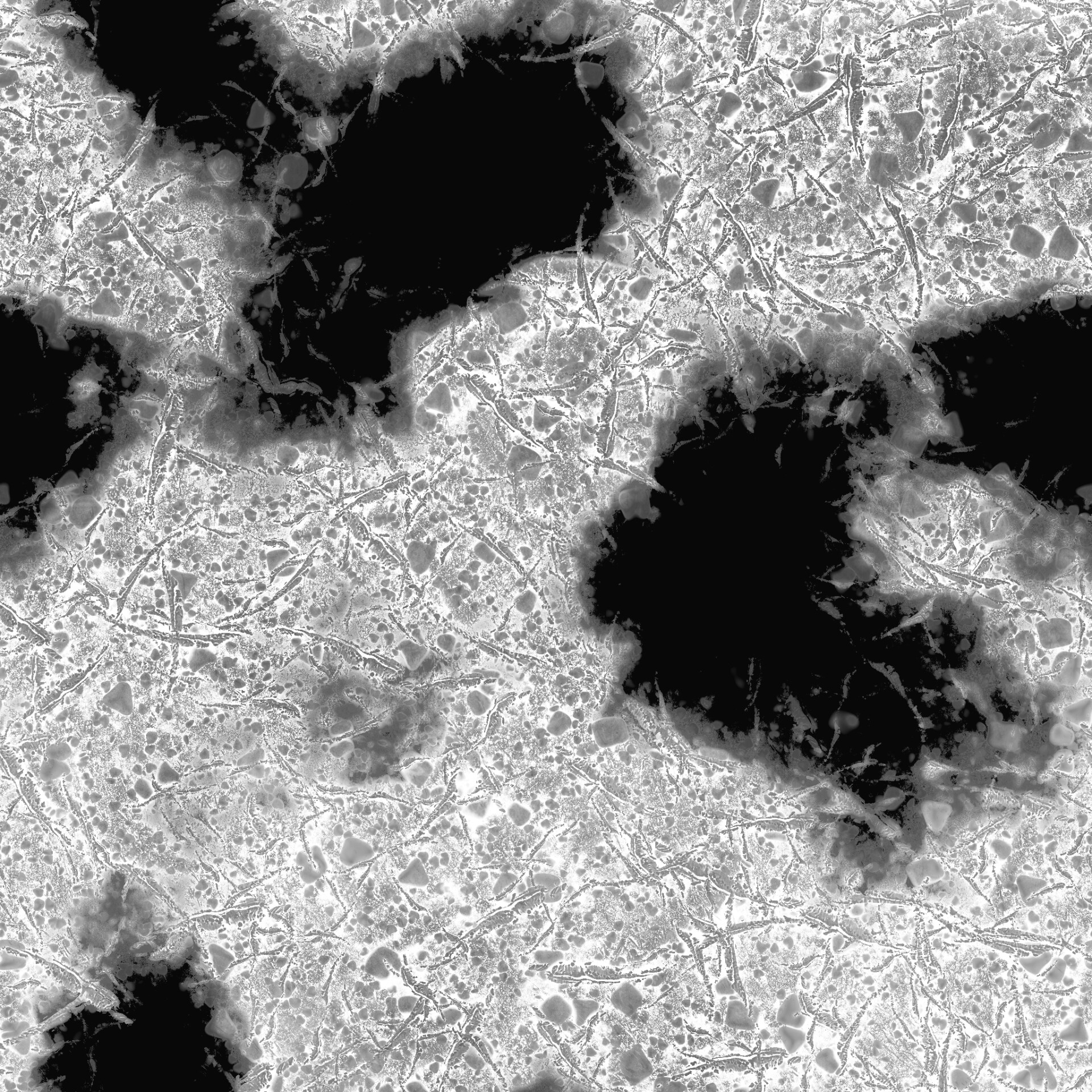 Fox Woods - تصویر 7505