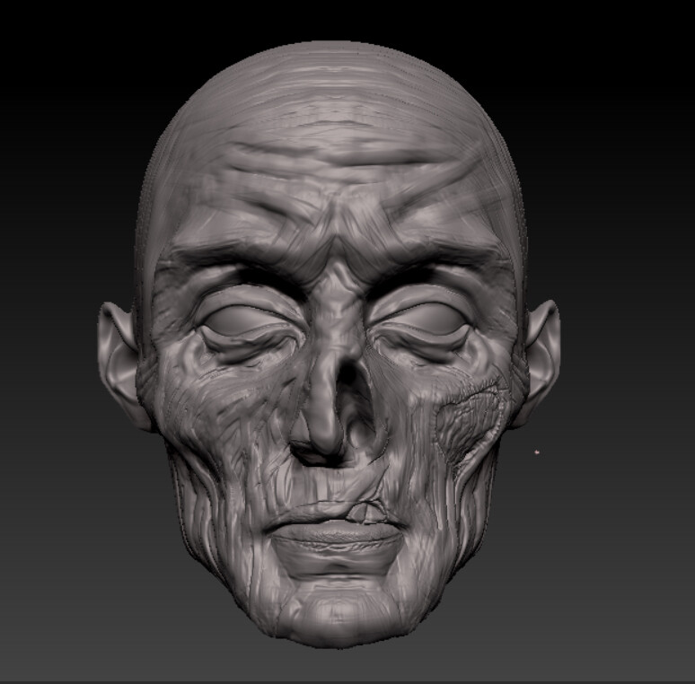 Zambi - تصویر 7521