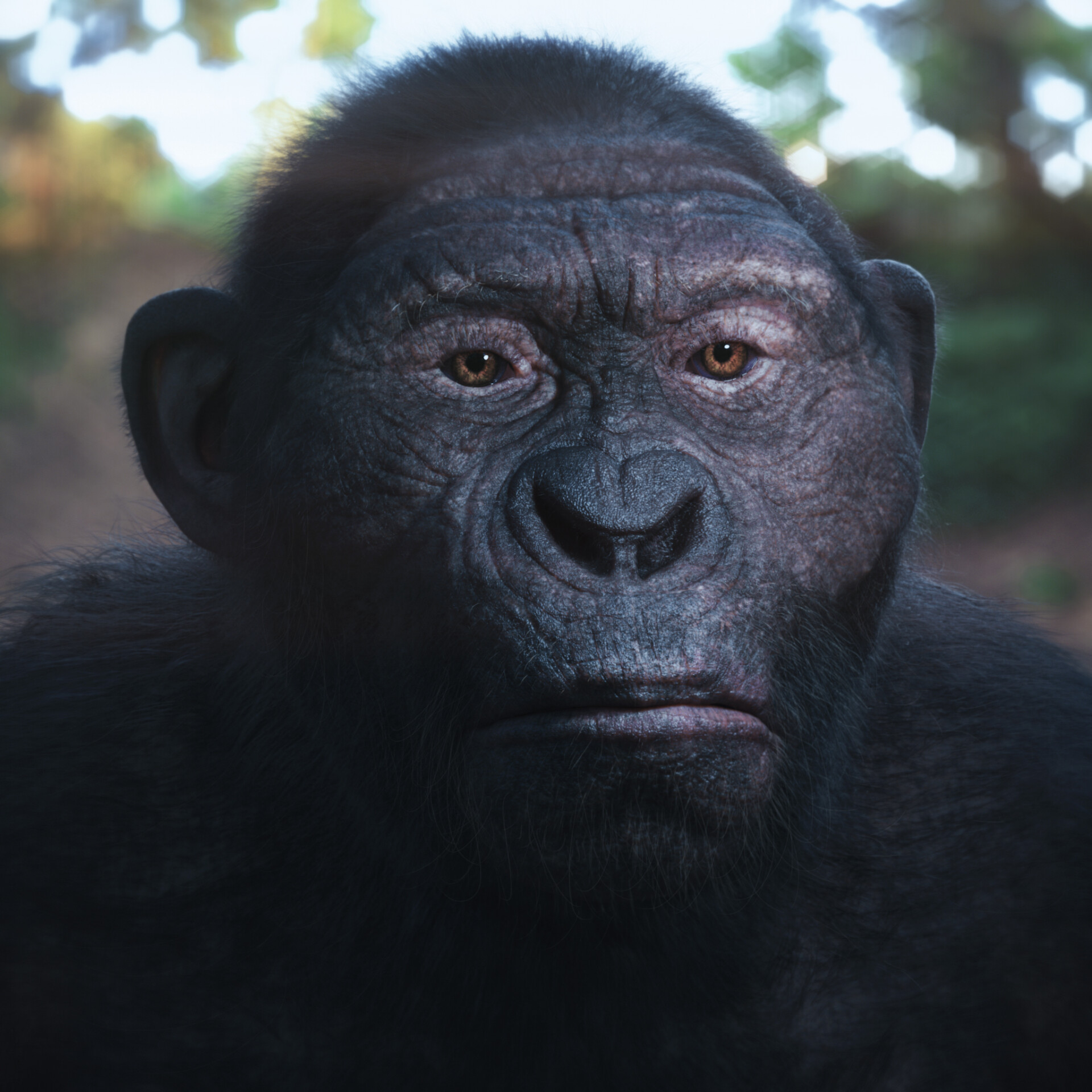 تکامل - تصویر 7534