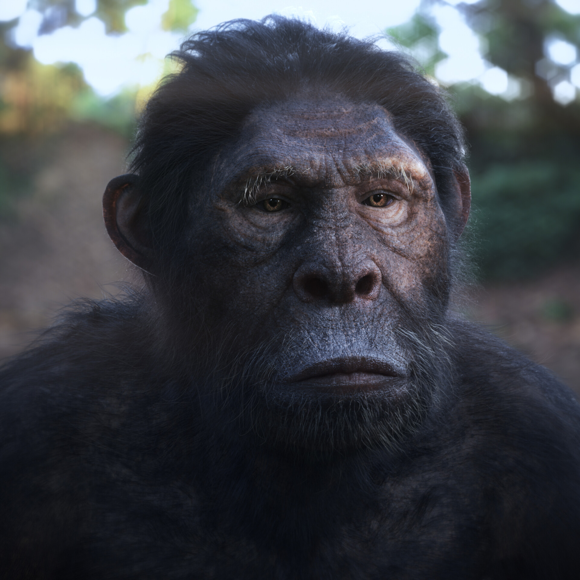 تکامل - تصویر 7535