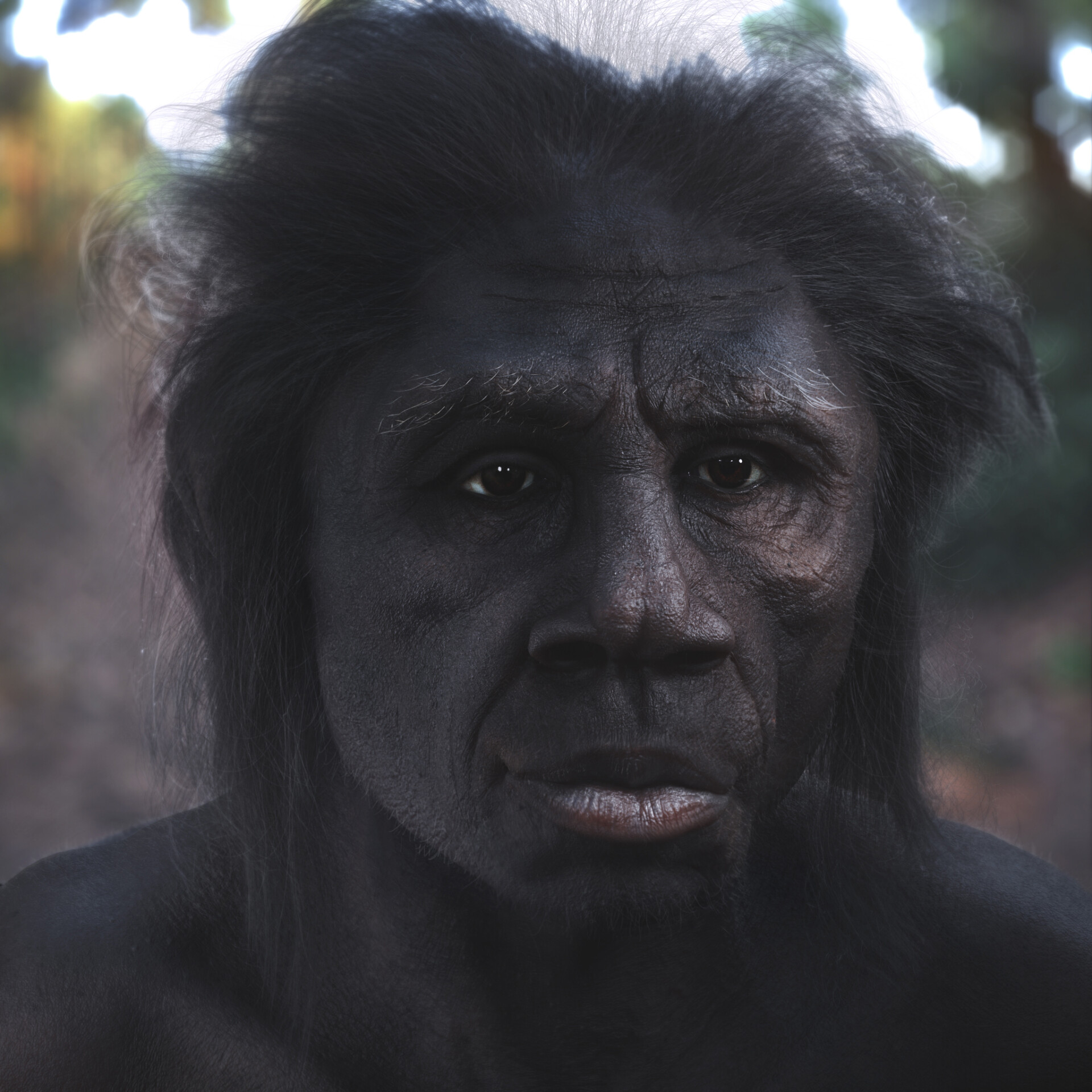 تکامل - تصویر 7536