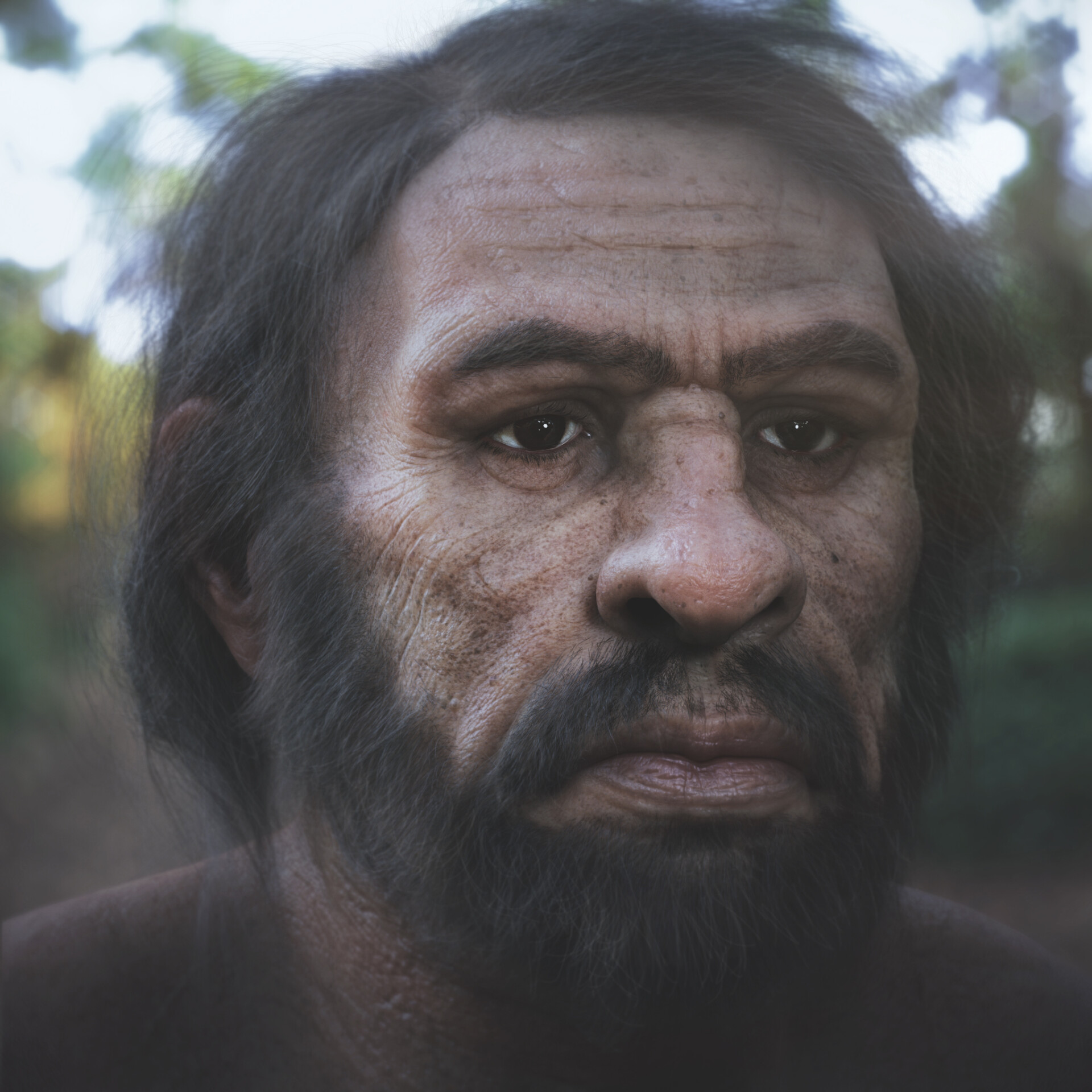 تکامل - تصویر 7537