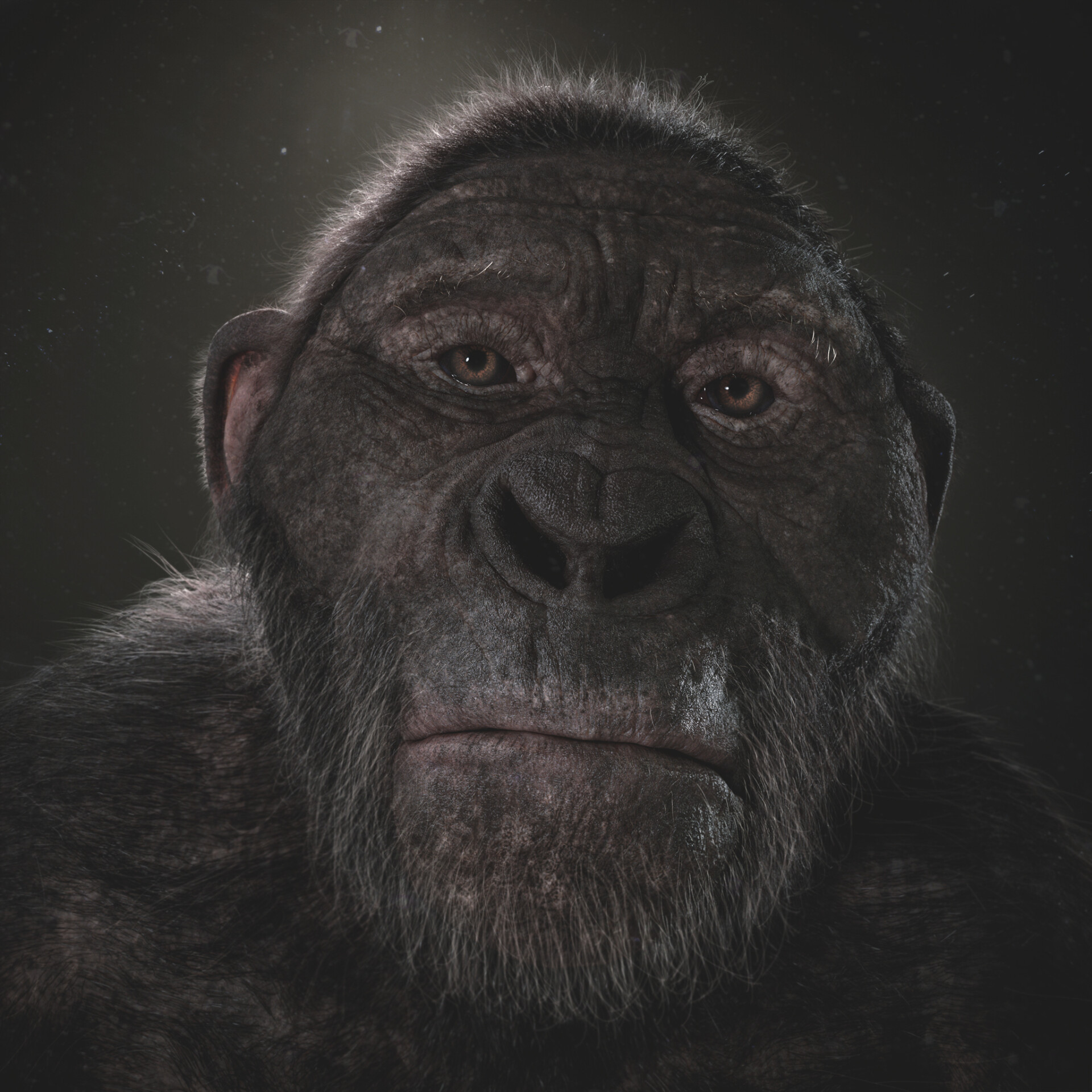 تکامل - تصویر 7539