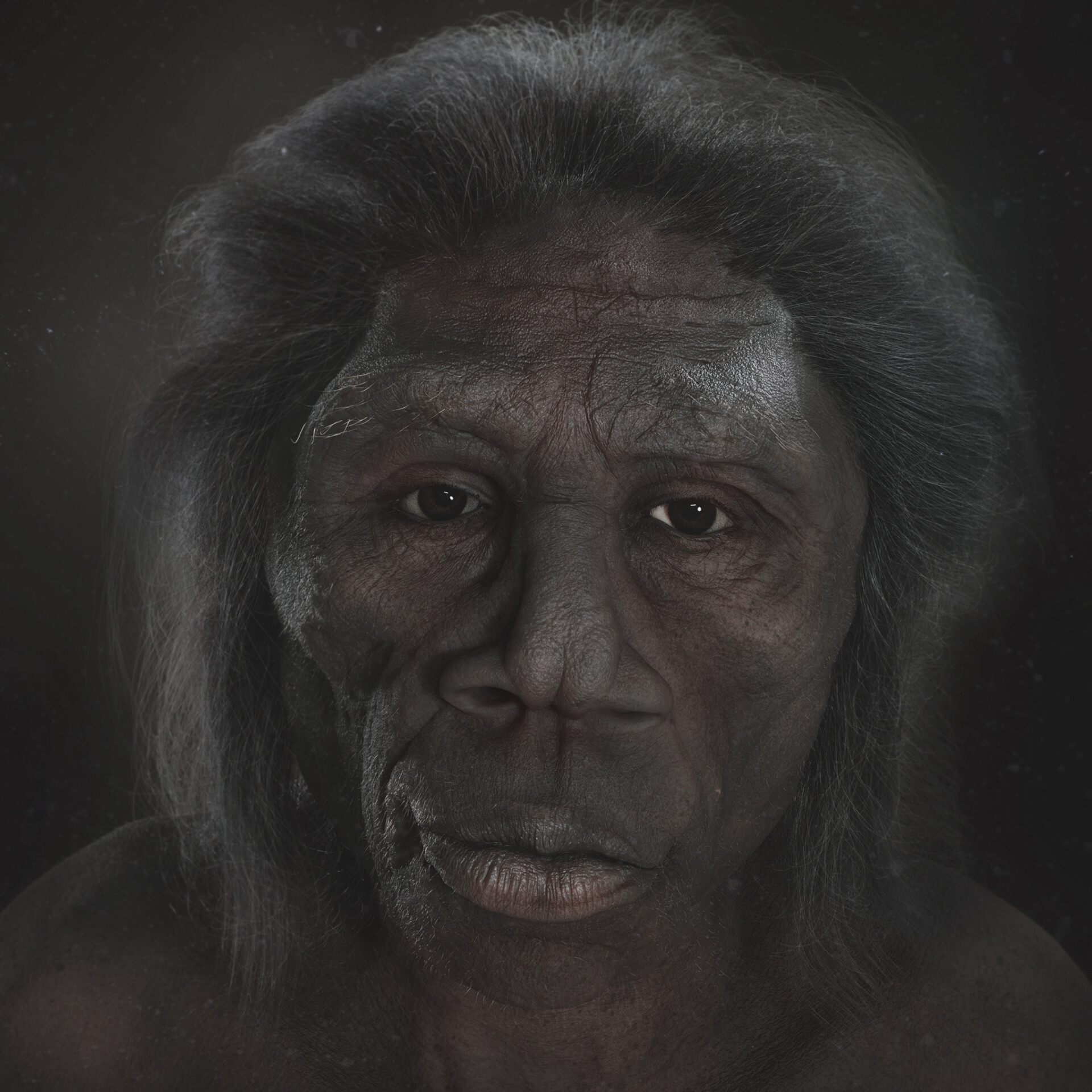 تکامل - تصویر 7540