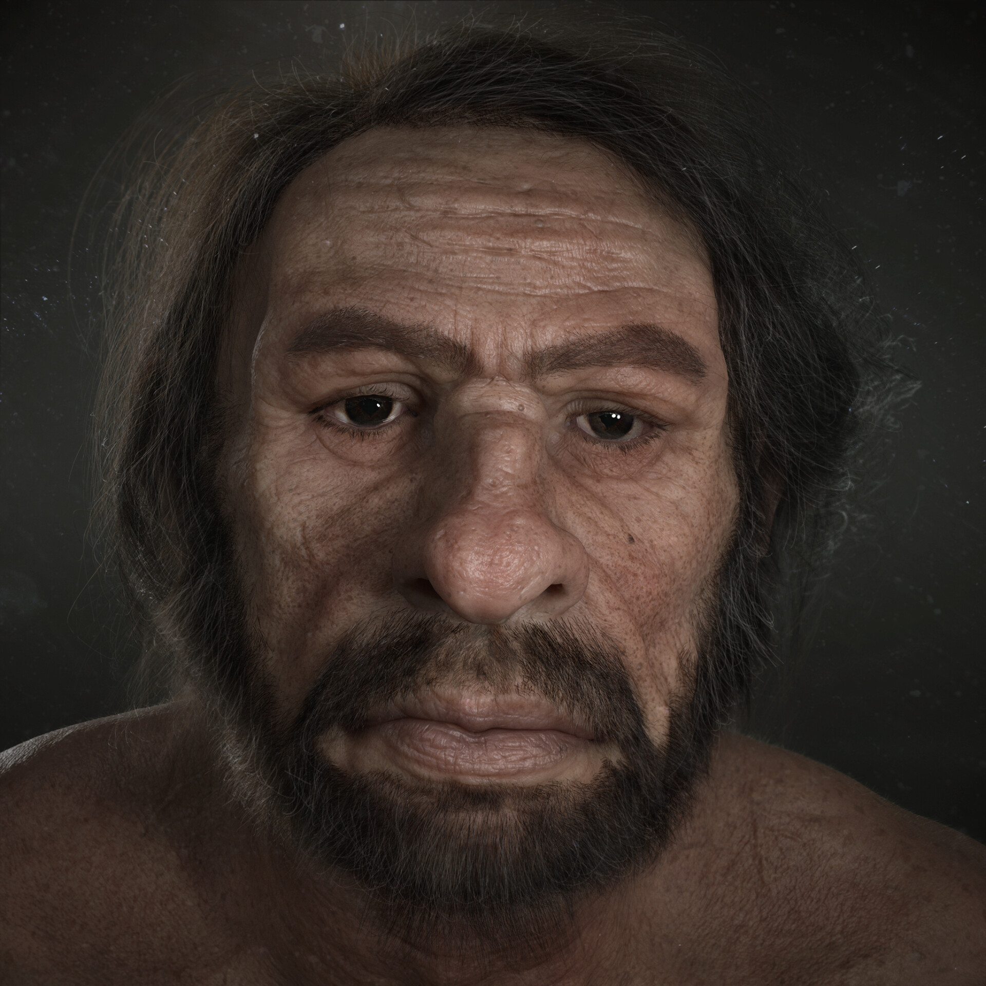 تکامل - تصویر 7541