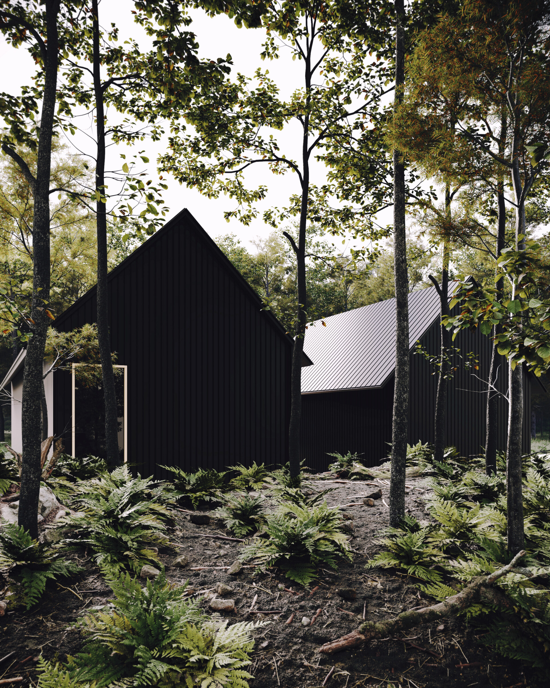 black cabin in the woods - تصویر 7733