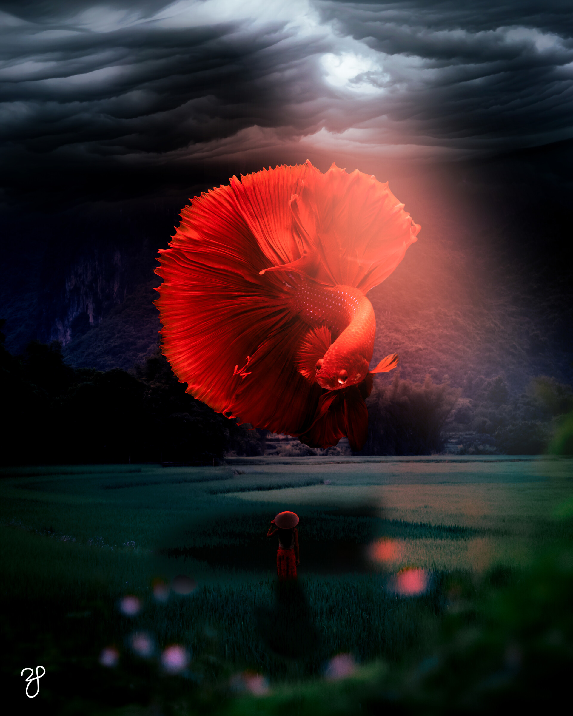 ماهی در آسمان (Sky Fish) - تصویر 7778