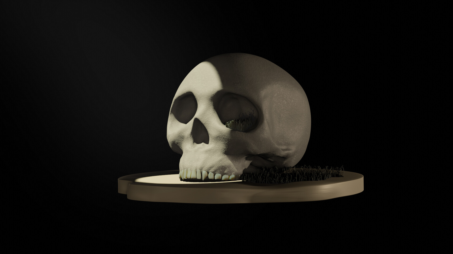 cranium - تصویر 8103