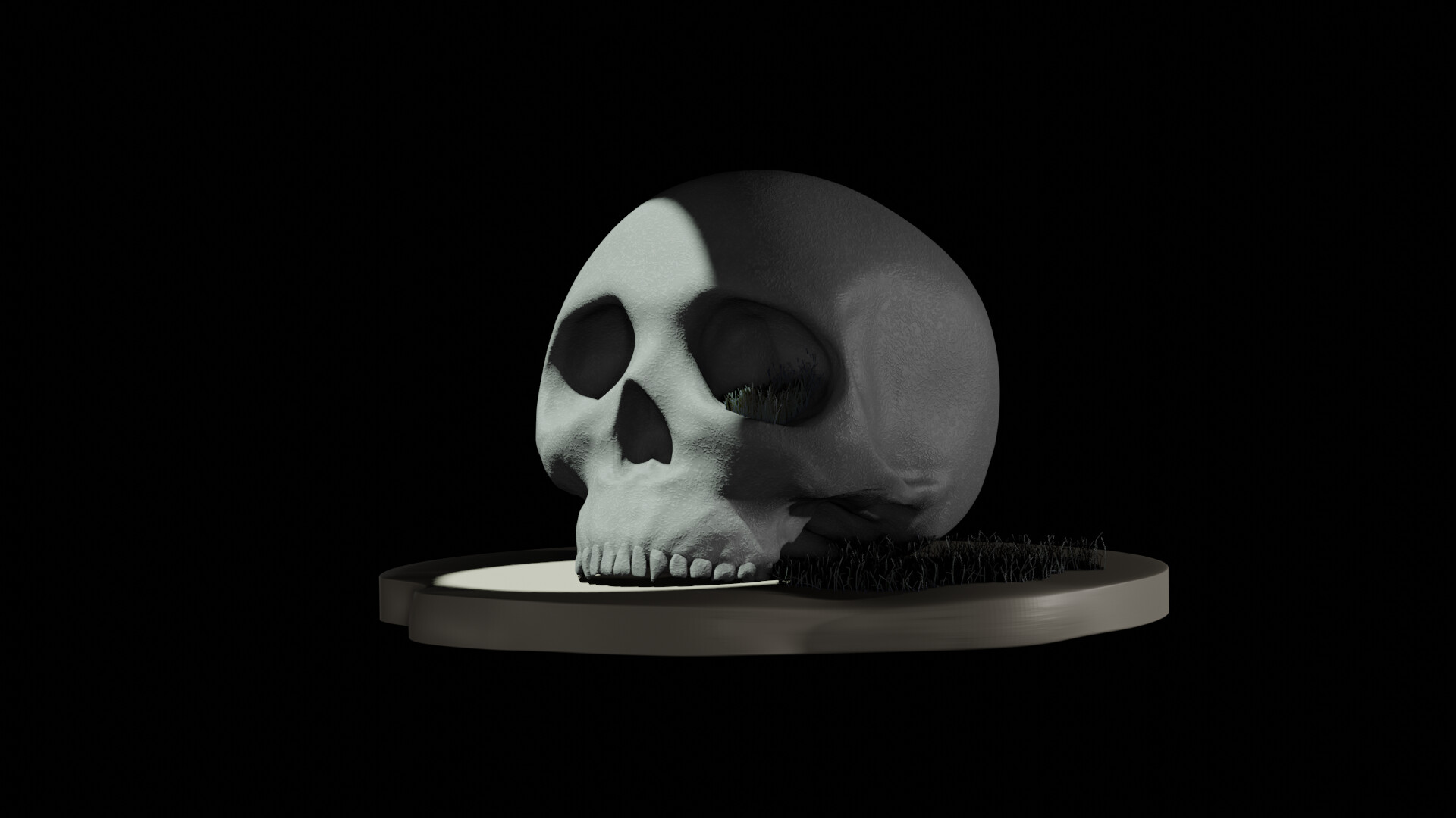 cranium - تصویر 8105