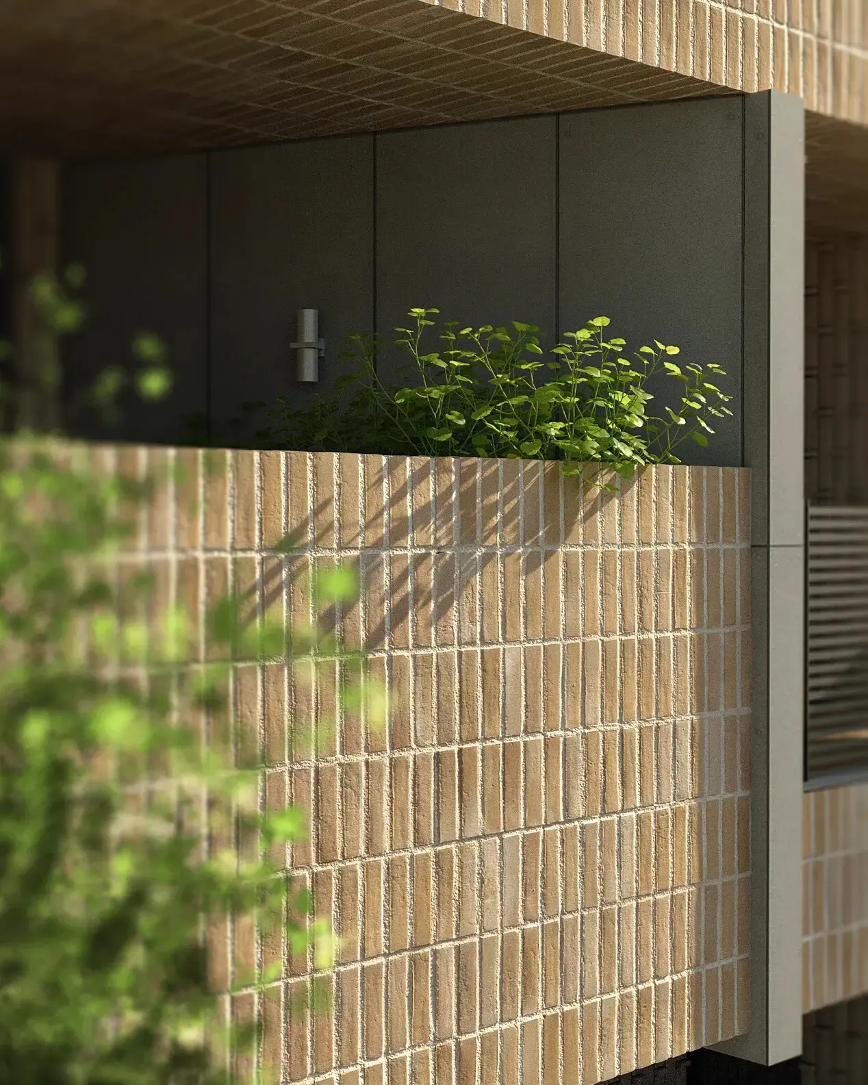 Close up - تصویر 8236