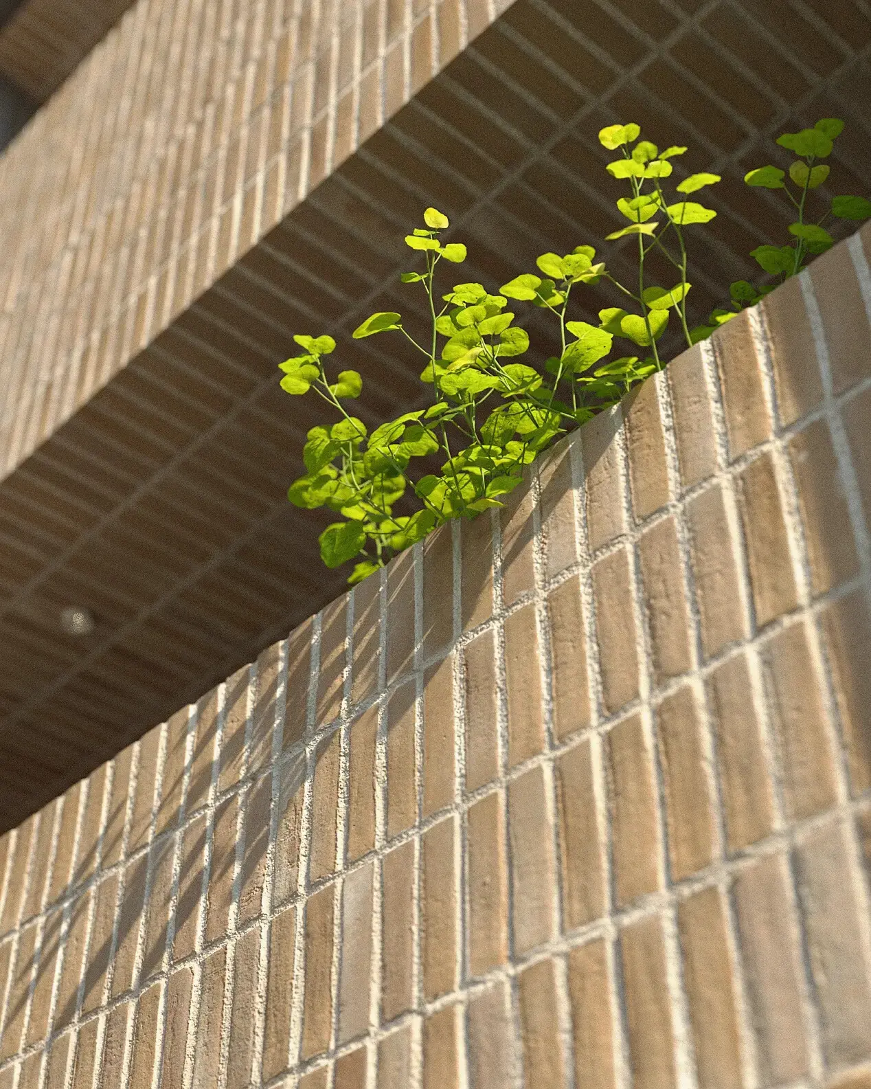 Close up - تصویر 8237