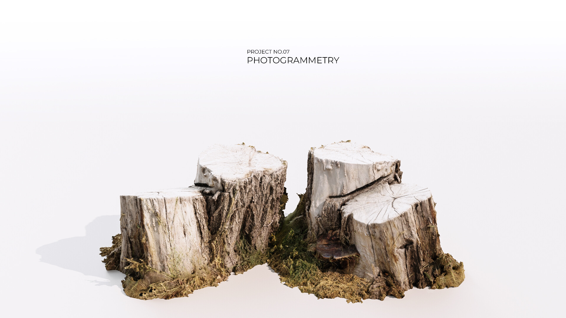 photogrammetry - تصویر 8239