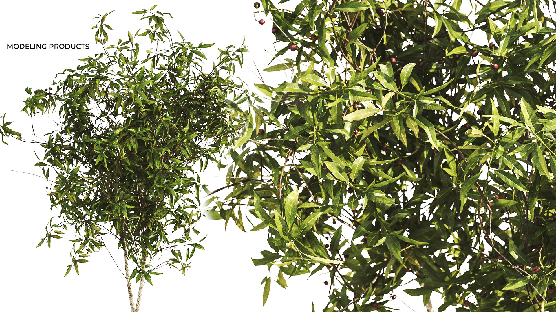 MODELING PRODUCTS - تصویر 8246