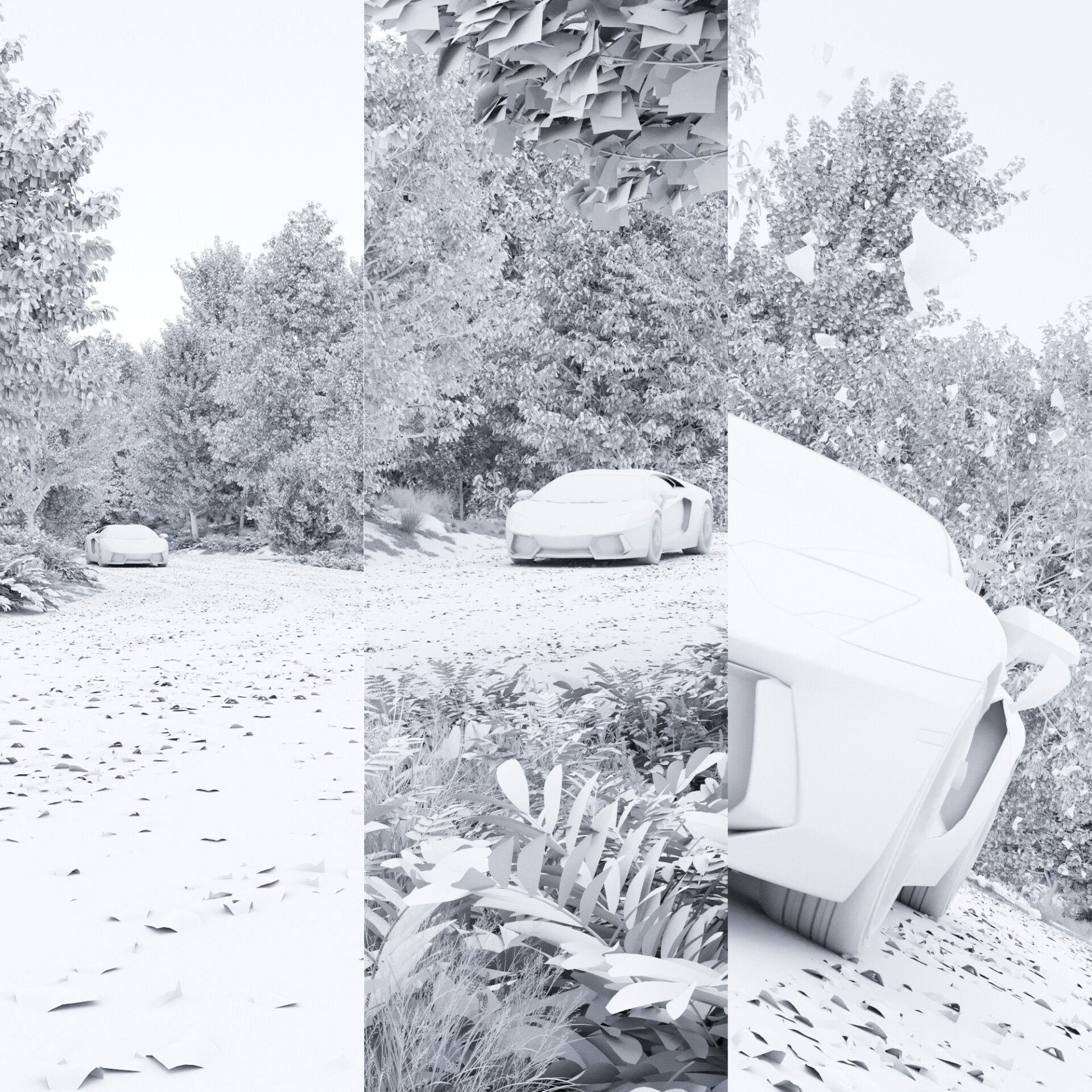 مسیر پاییزی - تصویر 8259