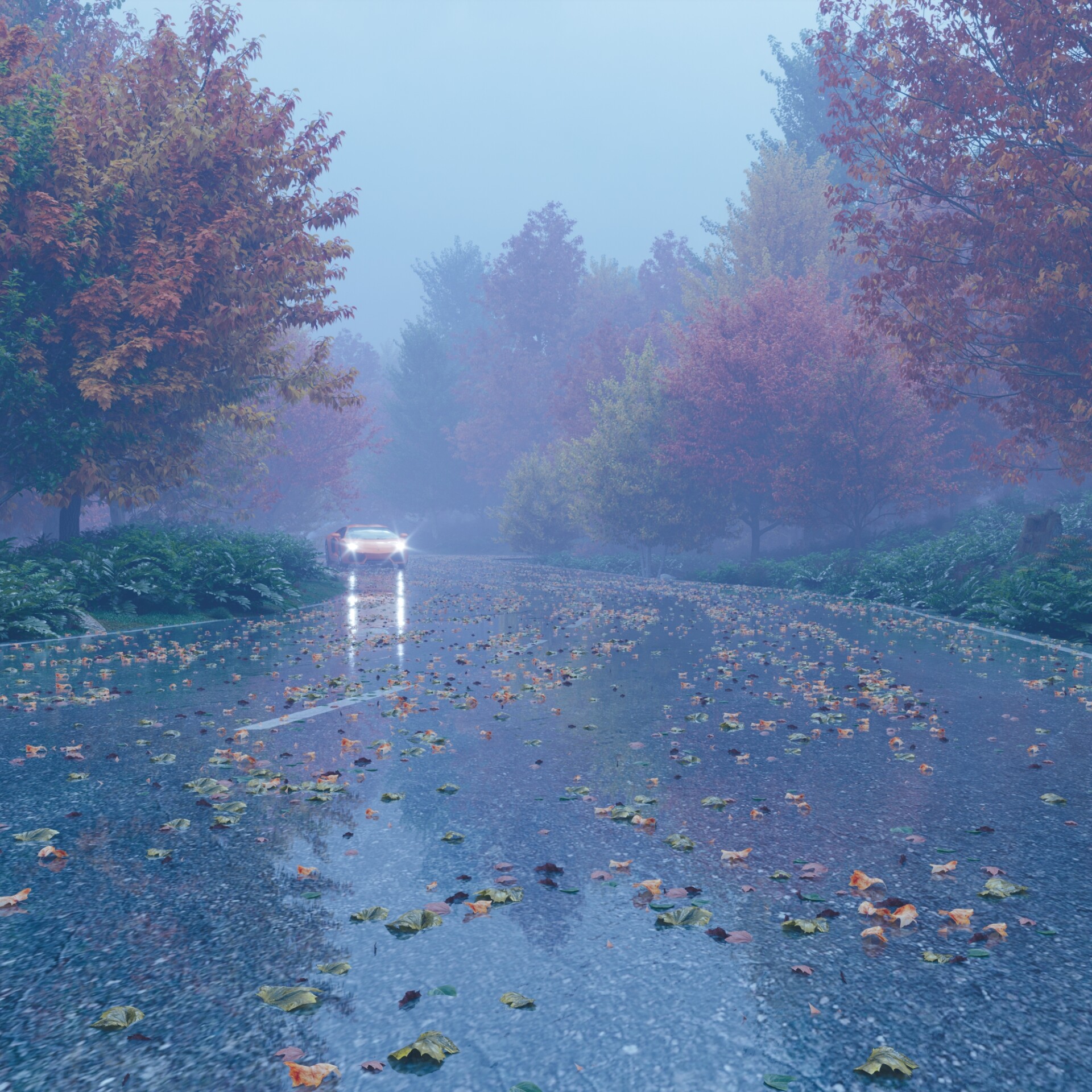 مسیر پاییزی - تصویر 8260