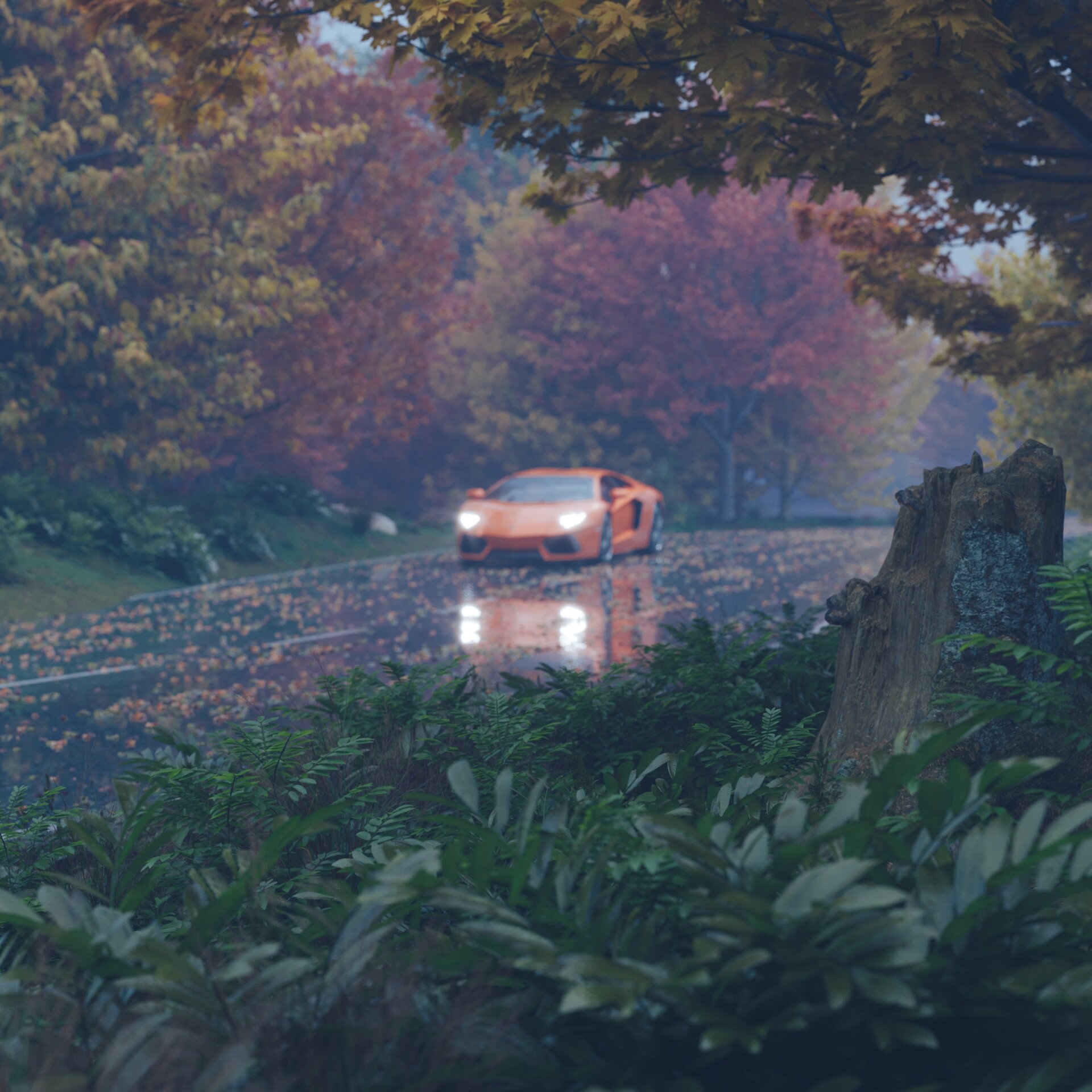 مسیر پاییزی - تصویر 8261