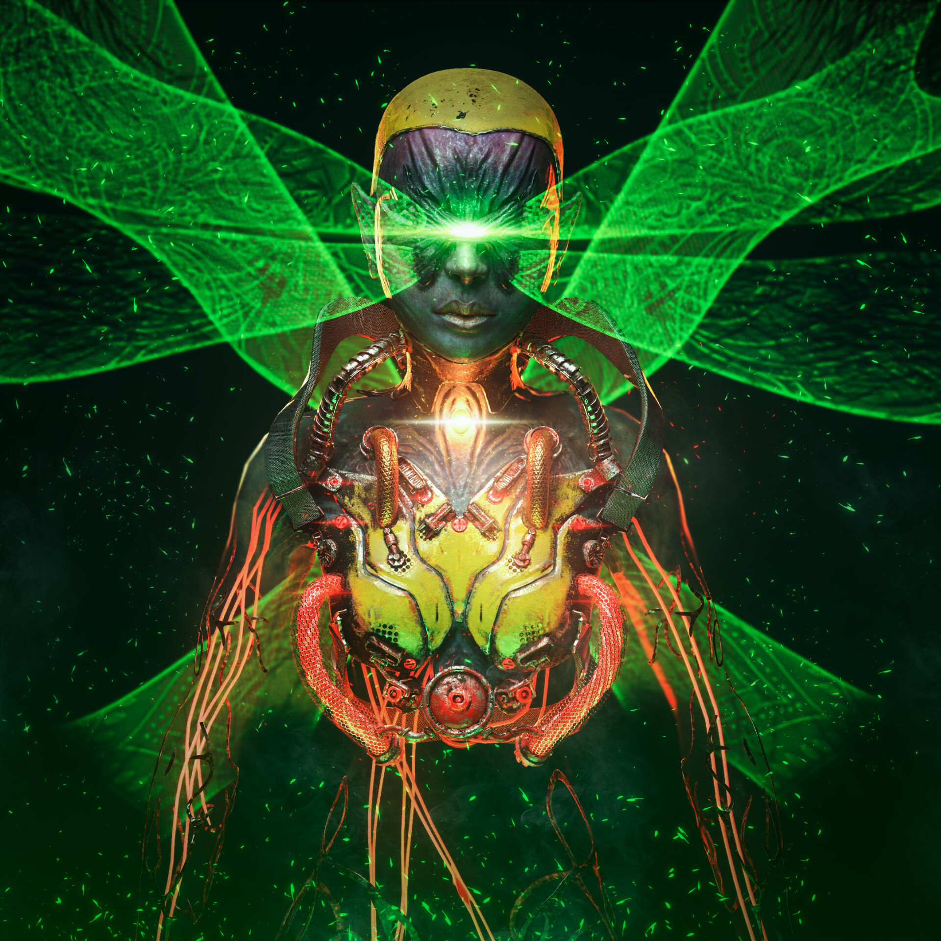 Chersa - تصویر 8563