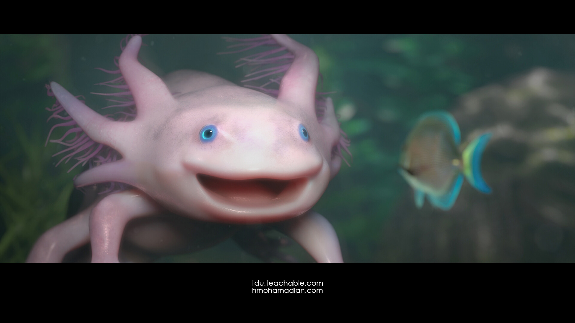 Axolotl - تصویر 8905