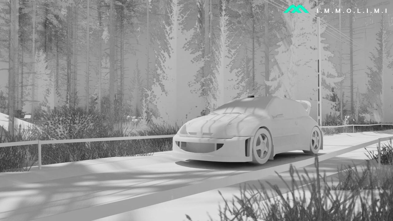 Rally 206 - تصویر 9113