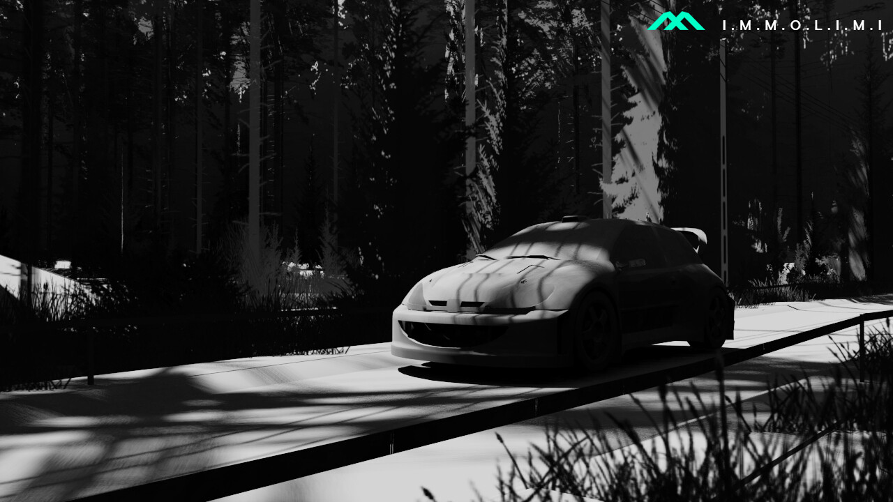 Rally 206 - تصویر 9112