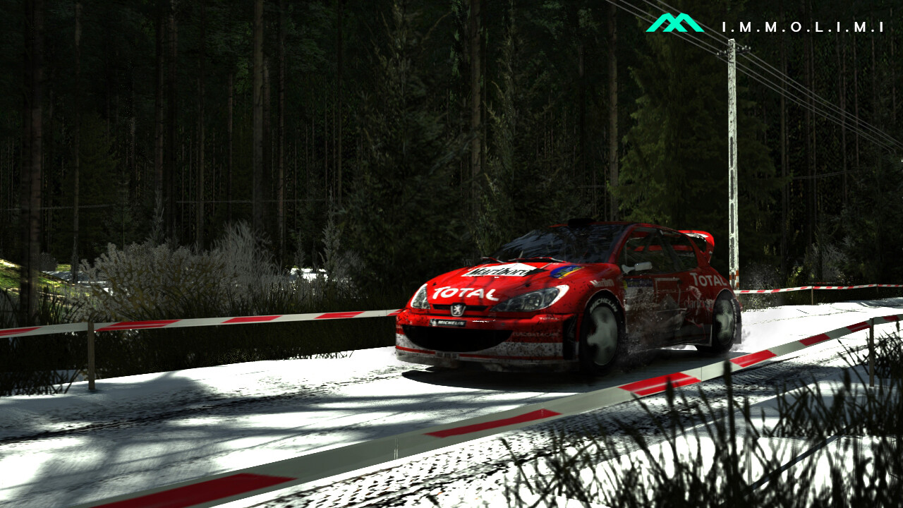 Rally 206 - تصویر 9114