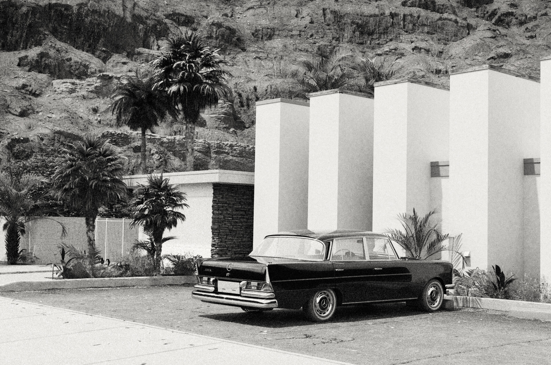 Palm Springs - تصویر 9189