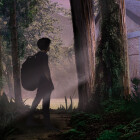 A house in the forest