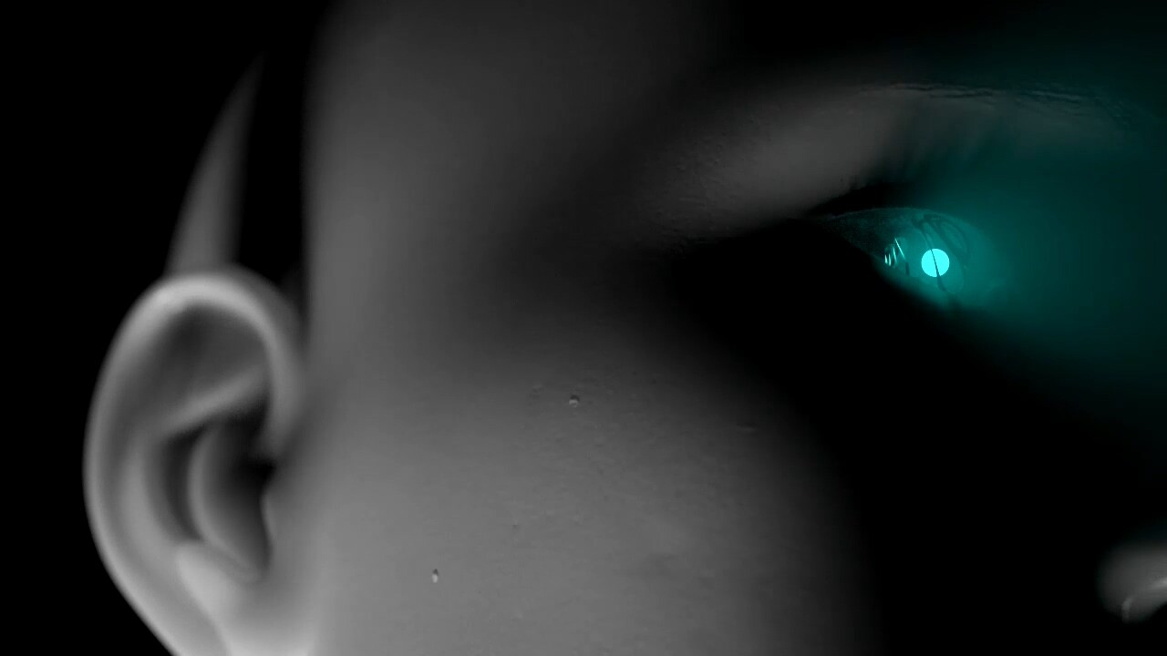 شبگرد - تصویر 9233