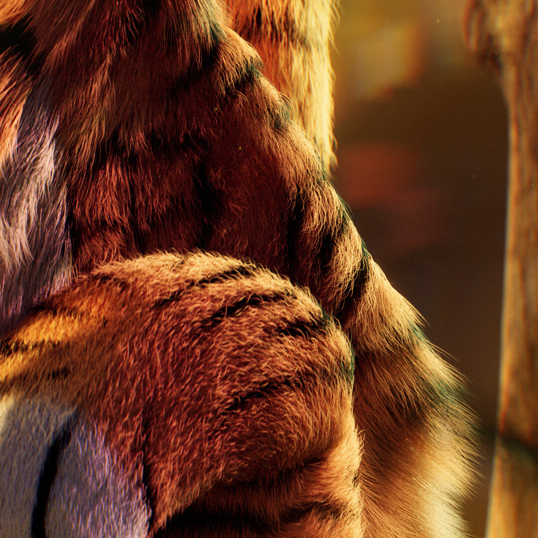 My Tiger Cabin - تصویر 9332