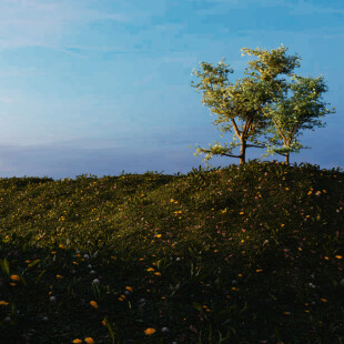 نمونه کار طراحی محیط طبیعی