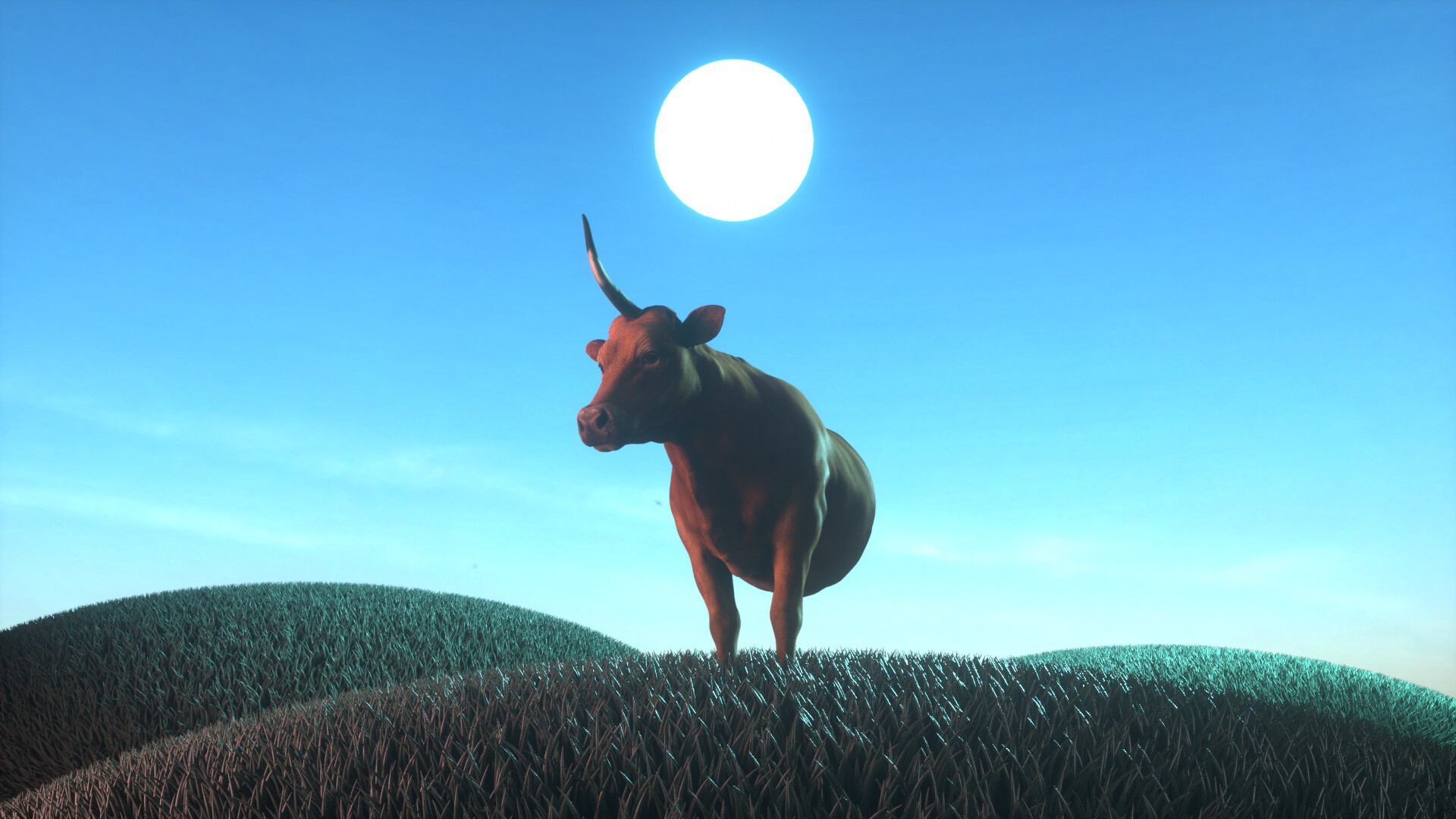 Half Cow - تصویر 9526