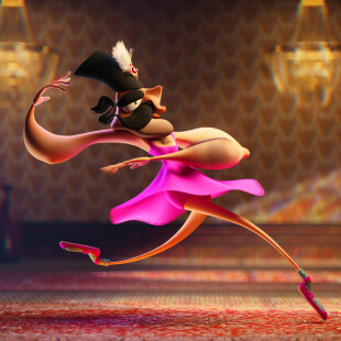 Shah is Dancing, Do not Disturb.