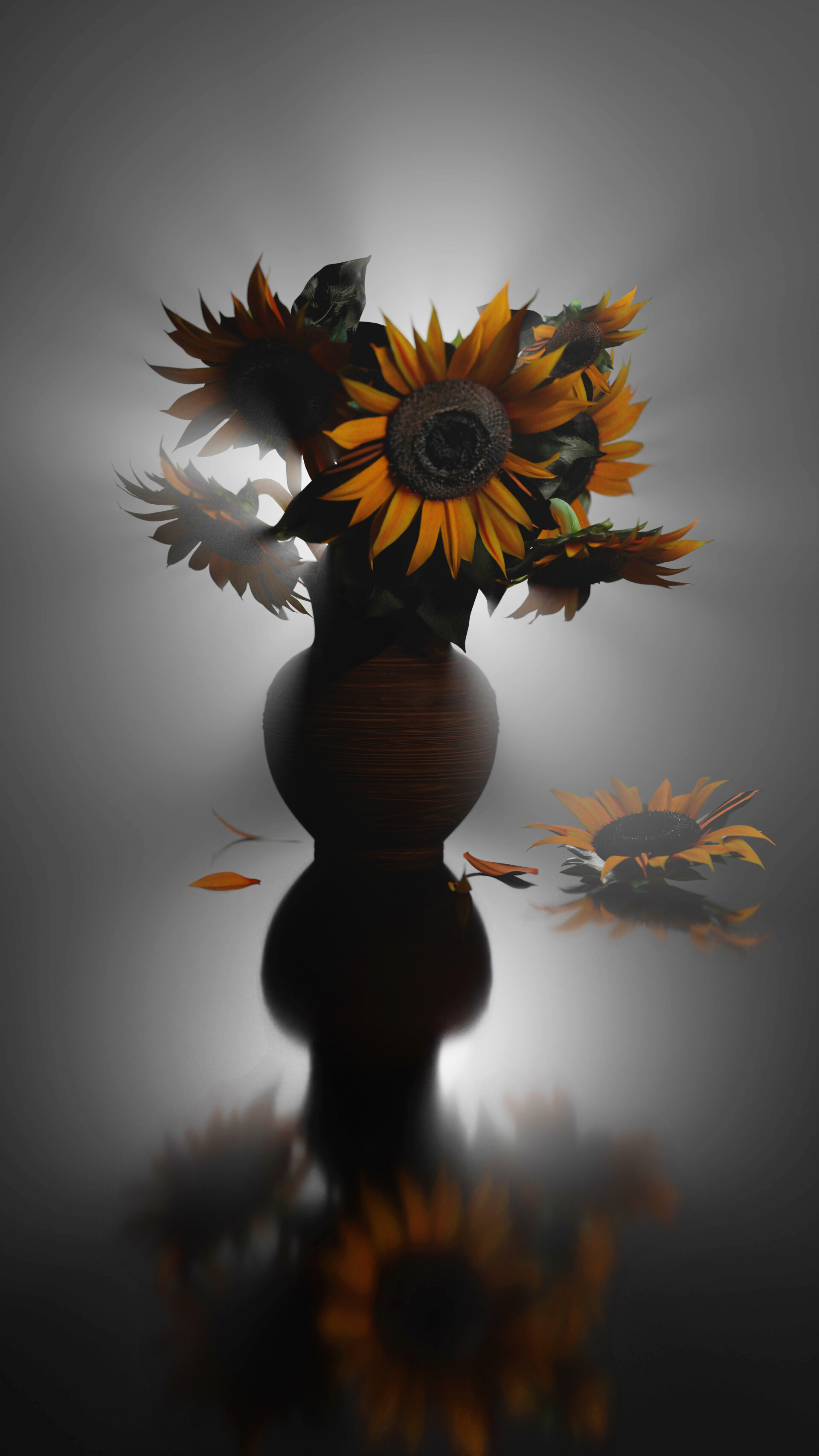 آفتاب گردان - تصویر 9564