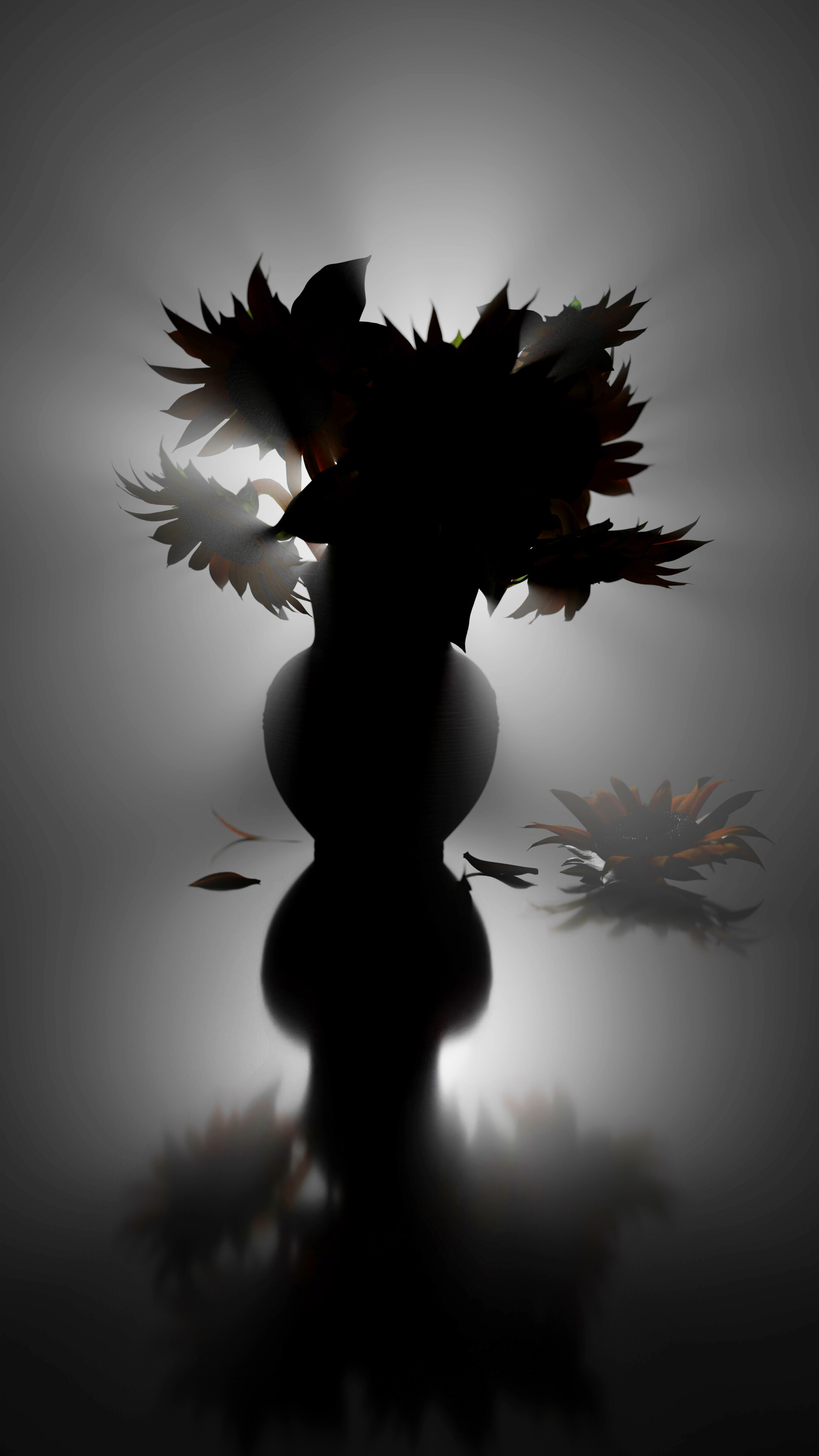 آفتاب گردان - تصویر 9565