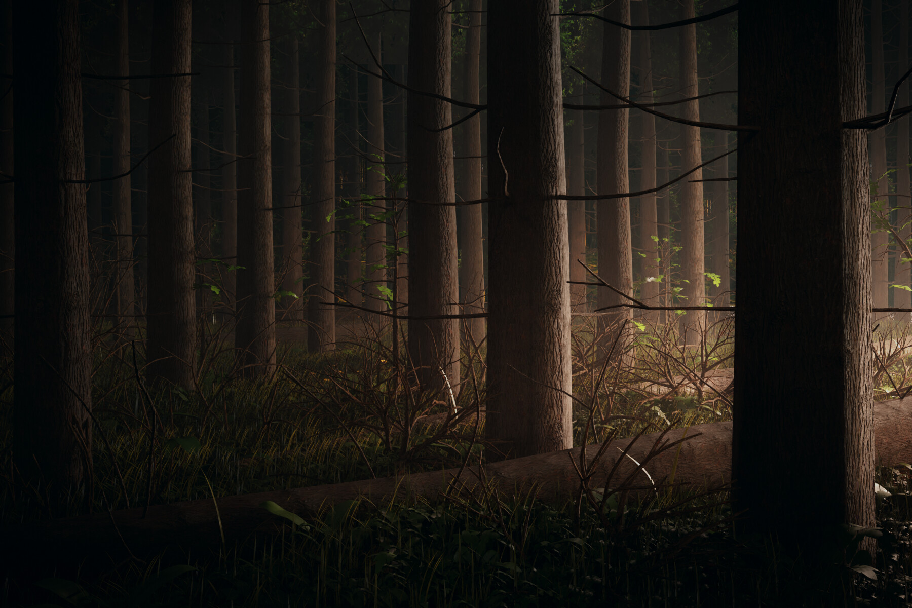 Sunrise - تصویر 9611