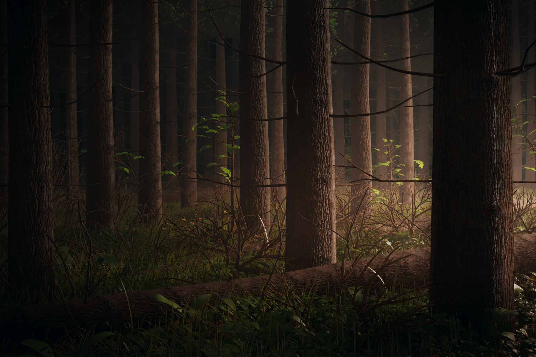 Sunrise - تصویر 9612