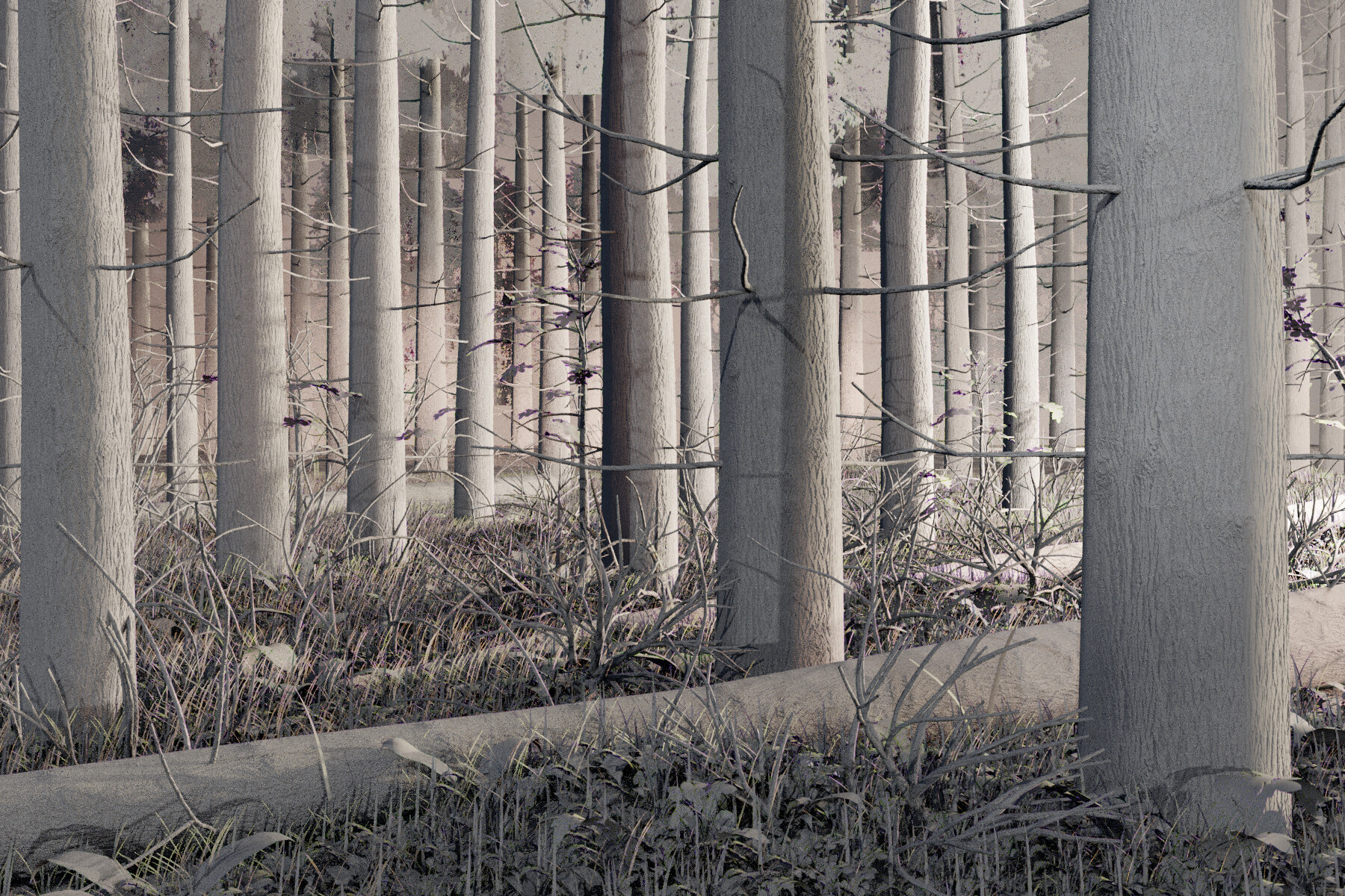 Sunrise - تصویر 9613