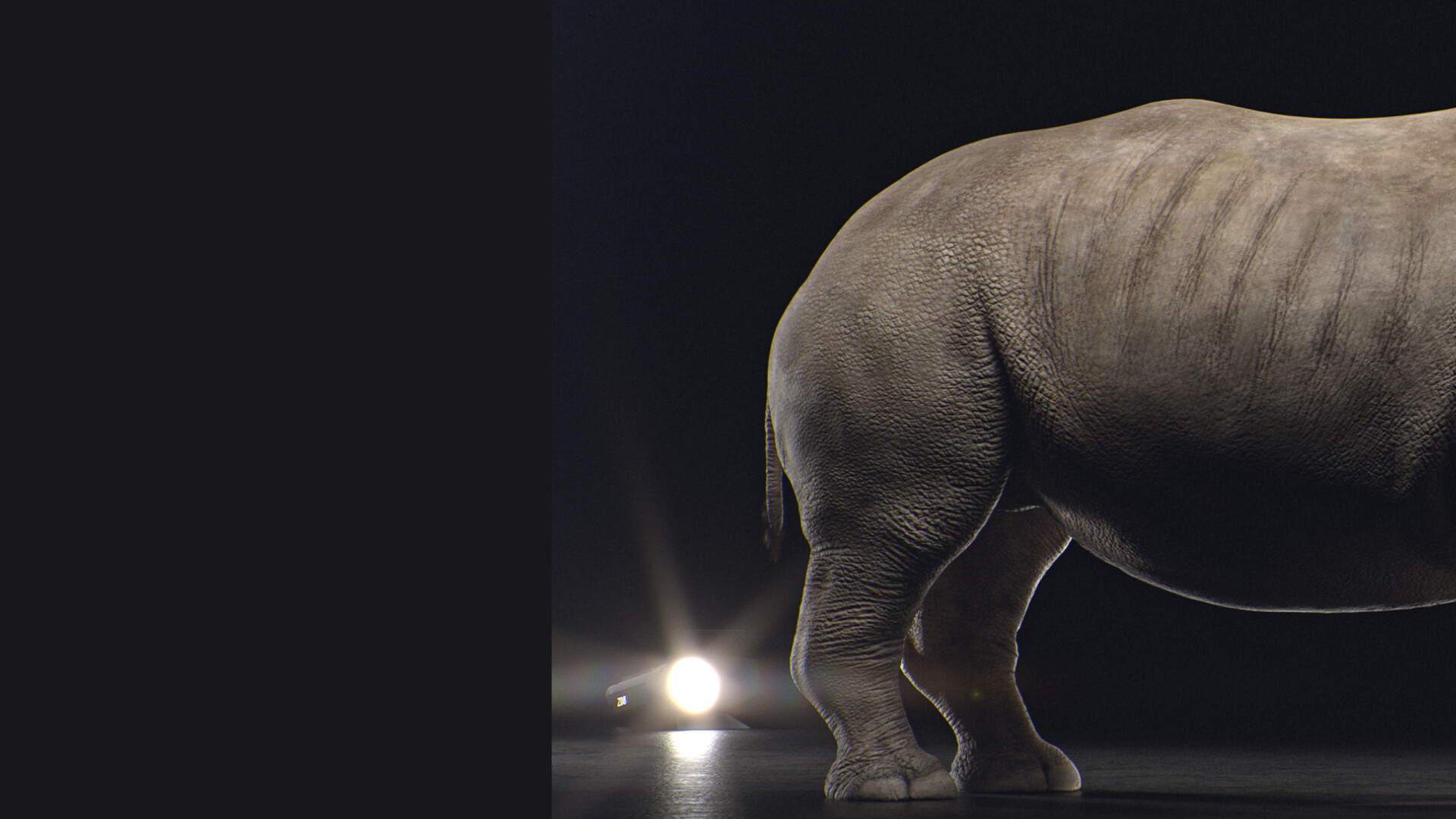 Northern White Rhinoceros - تصویر 9619