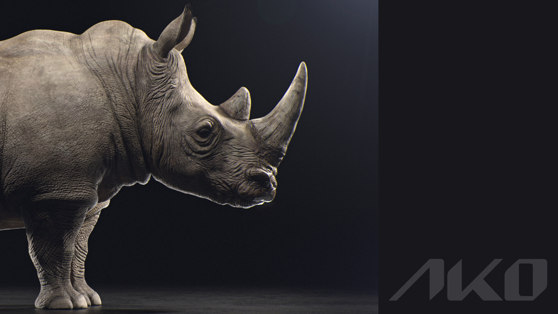 Northern White Rhinoceros - تصویر 9620